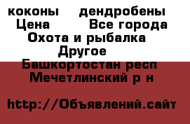 коконы    дендробены › Цена ­ 25 - Все города Охота и рыбалка » Другое   . Башкортостан респ.,Мечетлинский р-н